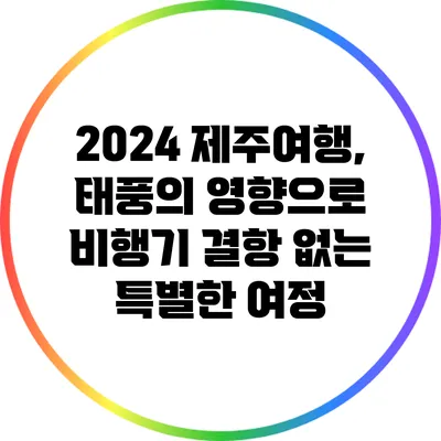 2024 제주여행, 태풍의 영향으로 비행기 결항 없는 특별한 여정