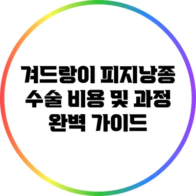 겨드랑이 피지낭종 수술 비용 및 과정 완벽 가이드