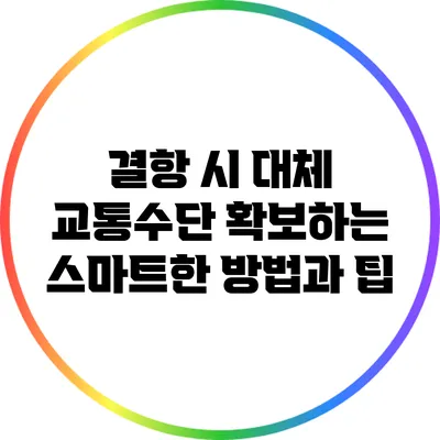 결항 시 대체 교통수단 확보하는 스마트한 방법과 팁