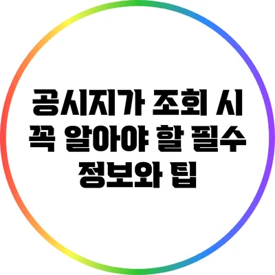 공시지가 조회 시 꼭 알아야 할 필수 정보와 팁