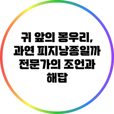 귀 앞의 몽우리, 과연 피지낭종일까? 전문가의 조언과 해답