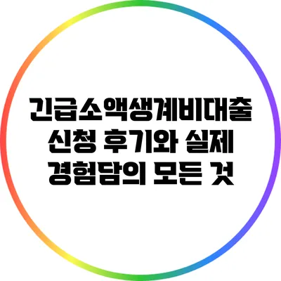 긴급소액생계비대출 신청 후기와 실제 경험담의 모든 것