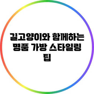 길고양이와 함께하는 명품 가방 스타일링 팁