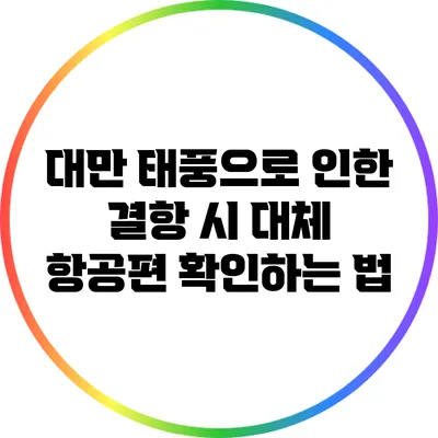 대만 태풍으로 인한 결항 시 대체 항공편 확인하는 법