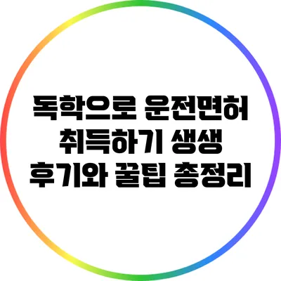 독학으로 운전면허 취득하기: 생생 후기와 꿀팁 총정리
