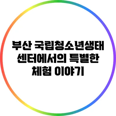 부산 국립청소년생태센터에서의 특별한 체험 이야기