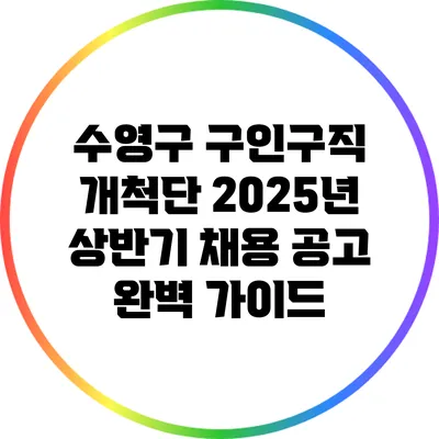수영구 구인구직 개척단 2025년 상반기 채용 공고 완벽 가이드
