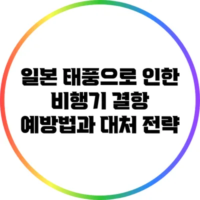 일본 태풍으로 인한 비행기 결항 예방법과 대처 전략
