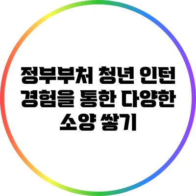 정부부처 청년 인턴 경험을 통한 다양한 소양 쌓기