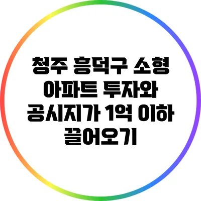 청주 흥덕구 소형 아파트 투자와 공시지가 1억 이하 끌어오기