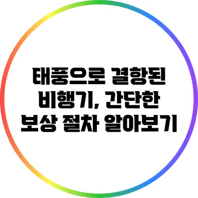 태풍으로 결항된 비행기, 간단한 보상 절차 알아보기