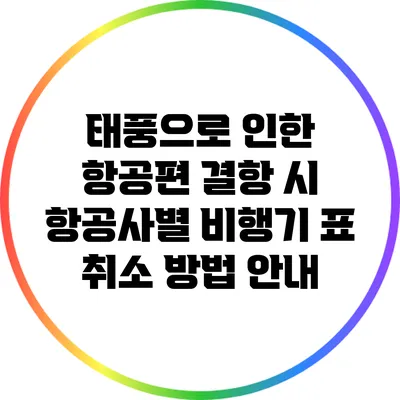 태풍으로 인한 항공편 결항 시 항공사별 비행기 표 취소 방법 안내
