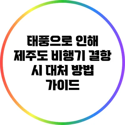 태풍으로 인해 제주도 비행기 결항 시 대처 방법 가이드