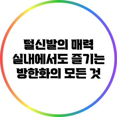털신발의 매력: 실내에서도 즐기는 방한화의 모든 것