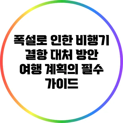 폭설로 인한 비행기 결항 대처 방안: 여행 계획의 필수 가이드