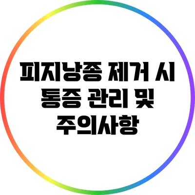 피지낭종 제거 시 통증 관리 및 주의사항