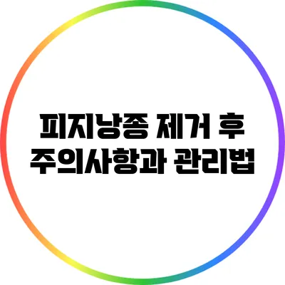 피지낭종 제거 후 주의사항과 관리법