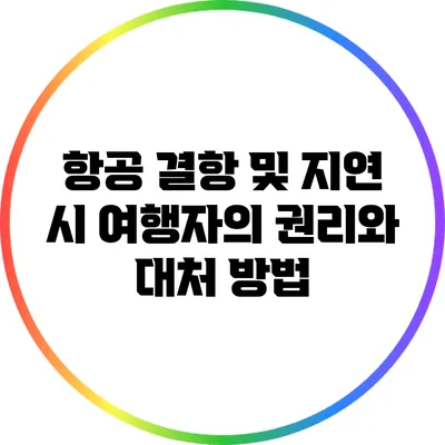항공 결항 및 지연 시 여행자의 권리와 대처 방법