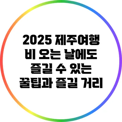2025 제주여행: 비 오는 날에도 즐길 수 있는 꿀팁과 즐길 거리