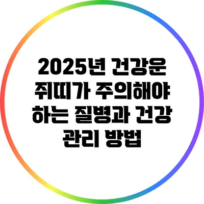 2025년 건강운 쥐띠가 주의해야 하는 질병과 건강 관리 방법
