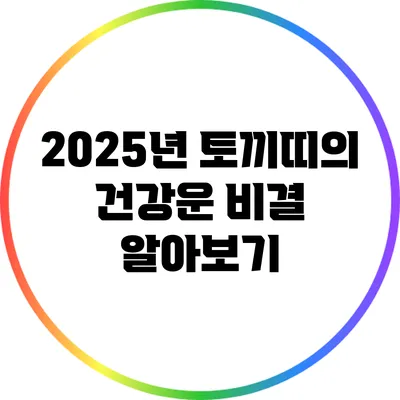 2025년 토끼띠의 건강운 비결 알아보기