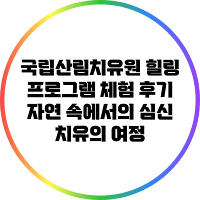 국립산림치유원 힐링 프로그램 체험 후기: 자연 속에서의 심신 치유의 여정