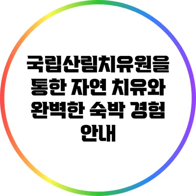 국립산림치유원을 통한 자연 치유와 완벽한 숙박 경험 안내