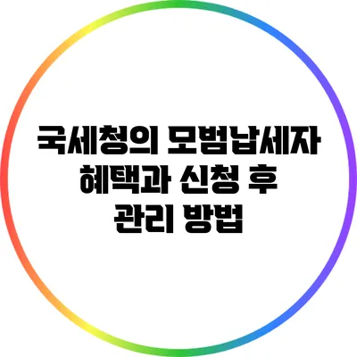 국세청의 모범납세자 혜택과 신청 후 관리 방법
