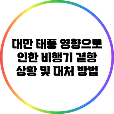 대만 태풍 영향으로 인한 비행기 결항 상황 및 대처 방법