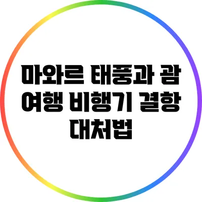 마와르 태풍과 괌 여행: 비행기 결항 대처법