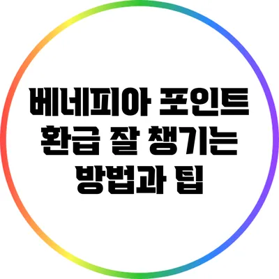 베네피아 포인트 환급 잘 챙기는 방법과 팁