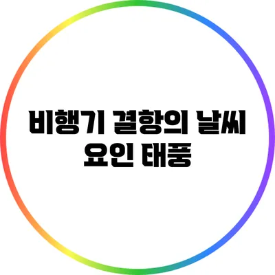 비행기 결항의 날씨 요인: 태풍