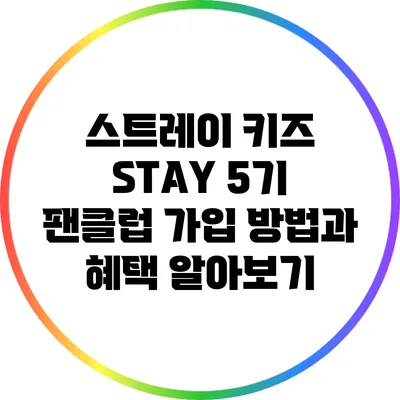 스트레이 키즈 STAY 5기 팬클럽 가입 방법과 혜택 알아보기