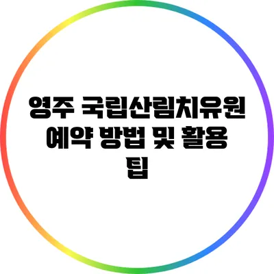영주 국립산림치유원 예약 방법 및 활용 팁