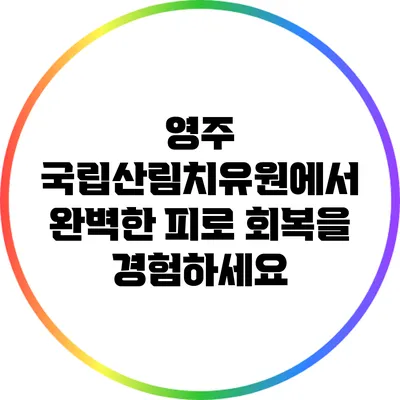 영주 국립산림치유원에서 완벽한 피로 회복을 경험하세요