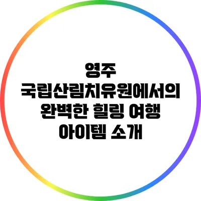 영주 국립산림치유원에서의 완벽한 힐링 여행 아이템 소개