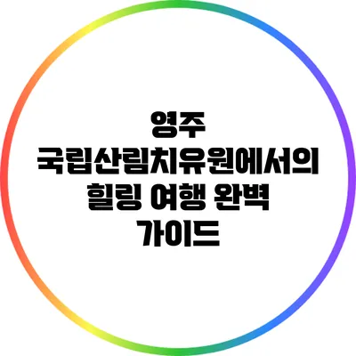 영주 국립산림치유원에서의 힐링 여행 완벽 가이드