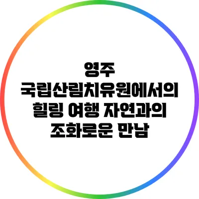 영주 국립산림치유원에서의 힐링 여행: 자연과의 조화로운 만남