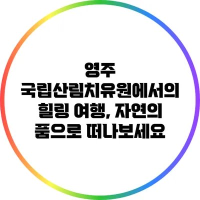 영주 국립산림치유원에서의 힐링 여행, 자연의 품으로 떠나보세요