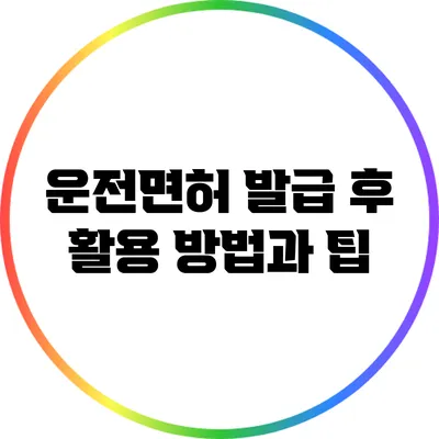 운전면허 발급 후 활용 방법과 팁
