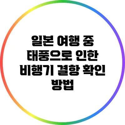 일본 여행 중 태풍으로 인한 비행기 결항 확인 방법