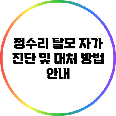 정수리 탈모 자가 진단 및 대처 방법 안내