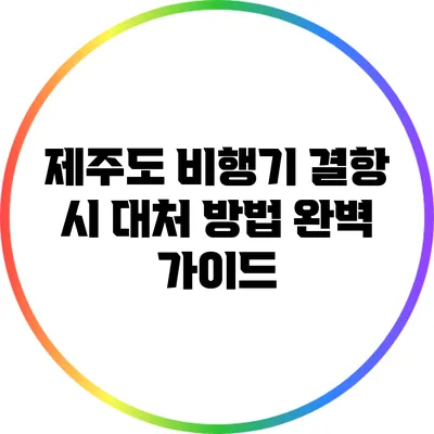 제주도 비행기 결항 시 대처 방법 완벽 가이드