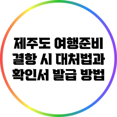 제주도 여행준비: 결항 시 대처법과 확인서 발급 방법