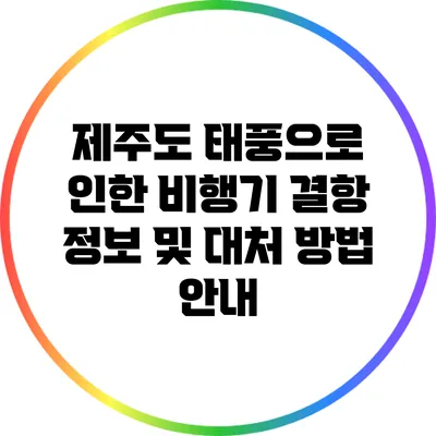 제주도 태풍으로 인한 비행기 결항 정보 및 대처 방법 안내