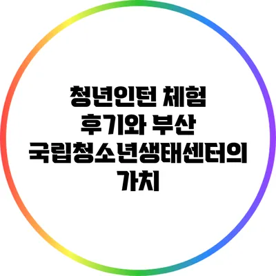 청년인턴 체험 후기와 부산 국립청소년생태센터의 가치