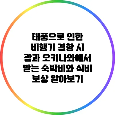태풍으로 인한 비행기 결항 시 괌과 오키나와에서 받는 숙박비와 식비 보상 알아보기