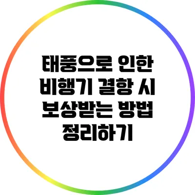 태풍으로 인한 비행기 결항 시 보상받는 방법 정리하기