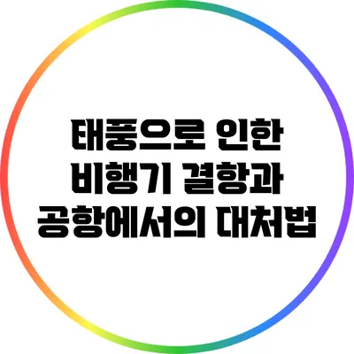 태풍으로 인한 비행기 결항과 공항에서의 대처법