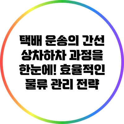 택배 운송의 간선 상차하차 과정을 한눈에! 효율적인 물류 관리 전략